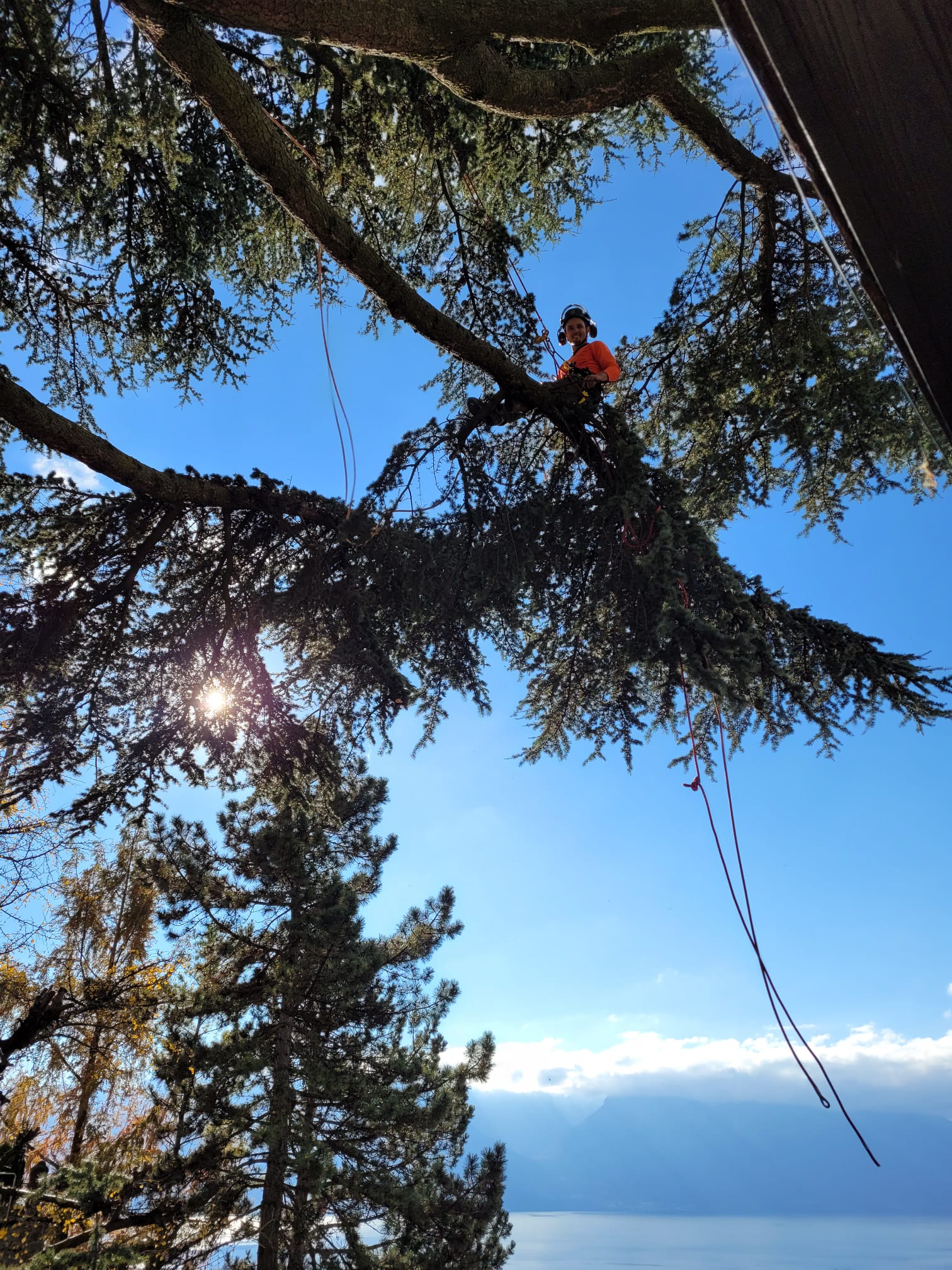 entretien d'espaces vert